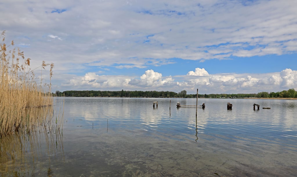 Blick auf den Barleber See. Hier eröffnen die Strandbäder in der Landeshauptstadt die Freibadsaison.