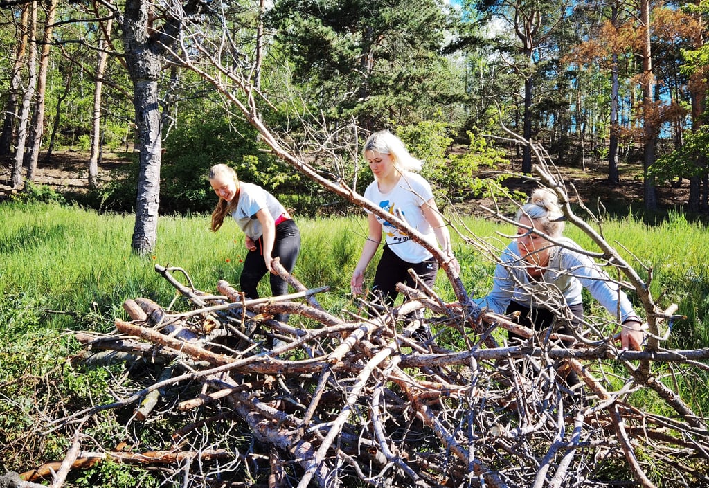 Blankenburgs Reiterinnen beräumten die Streuobstwiese am Seeberg in Börnecke von totem Holz.