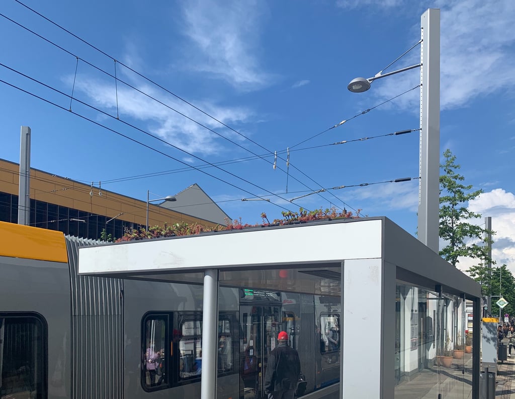 Einige Haltestellen in Leipzig haben seit 2019 begrünte Dächer.