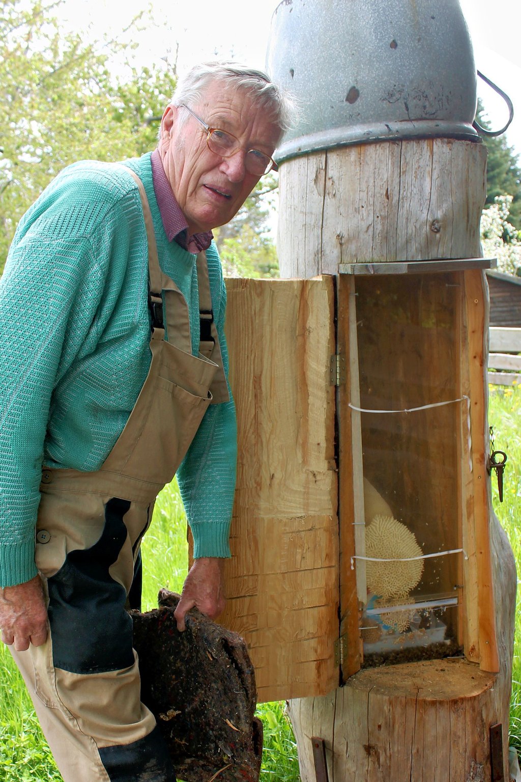 Werner Förster, der Vorsitzende des Darlingeröder Heimatvereins, vor einer in einem Baum untergebrachten Beute, die aber zurzeit noch nicht besetzt ist.