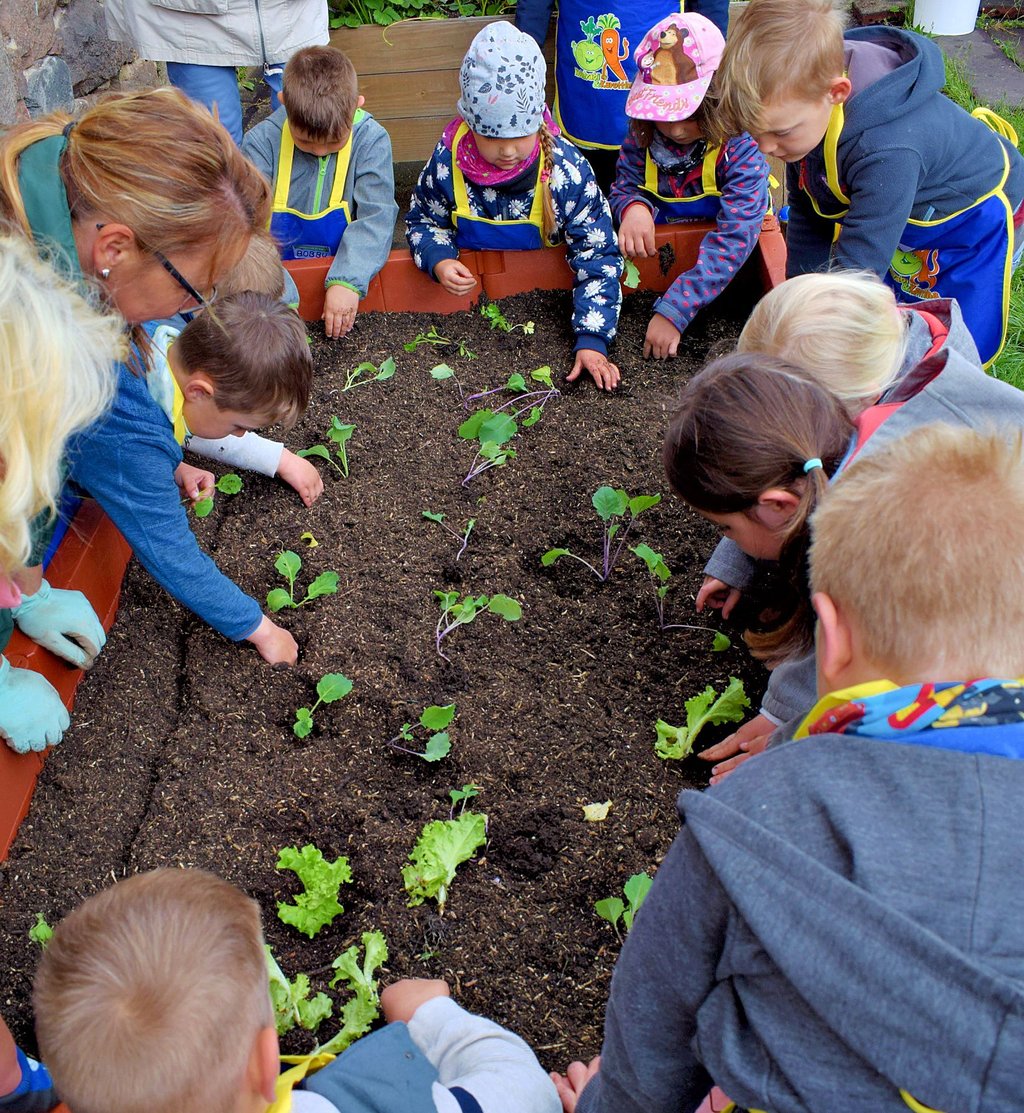 Im neuen Hochbeet, das ihnen die Edeka-Stiftung zur Verfügung stellte, pflanzten die Lübser Kita-Kinder unter anderem Salat, Kohlrabi, Wirsingkohl und Sellerie.