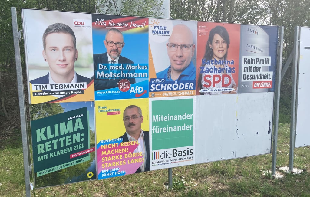 Auf Plakatwänden wie hier am Süplinger Berg gegenüber vom Ameos-Klinikum darf Wahlwerbung gesammelt angebracht werden. Ansonsten ist Wahlwerbung in Haldensleben untersagt.