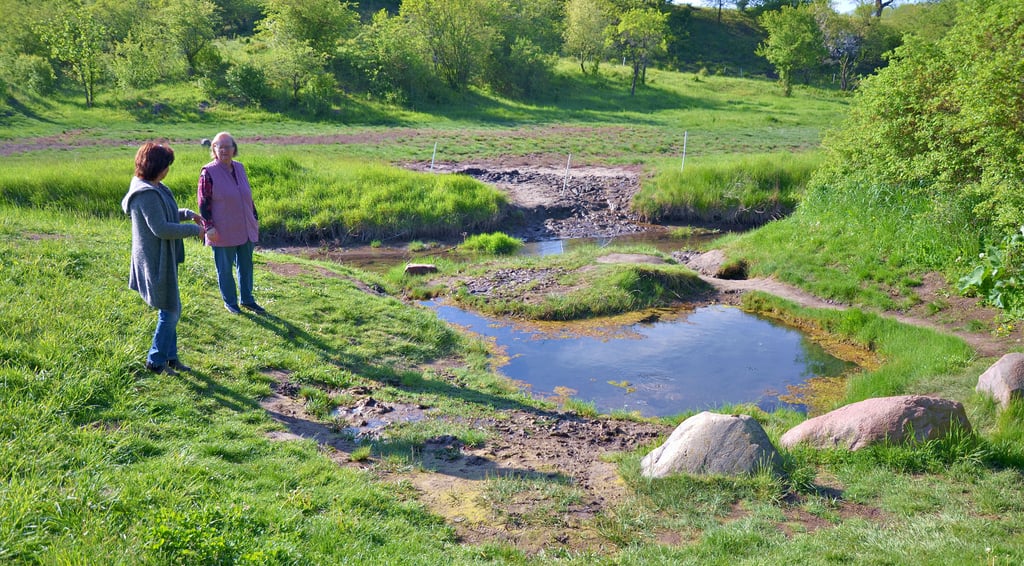 Ortsbürgermeisterin Kerstin Gruetz und Künstlerin Meike Dombrowsky schauen sich die Salzquelle bei Sülldorf an.