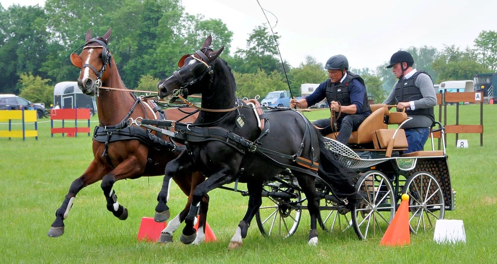 Für die Durchführung des Fahrturniers, welches am 12. und 13. Juni stattfinden soll, ist Andrea Ackermann, Vereinsvorsitzende des Reit- und Fahrvereins Westeregeln, optimistisch.
