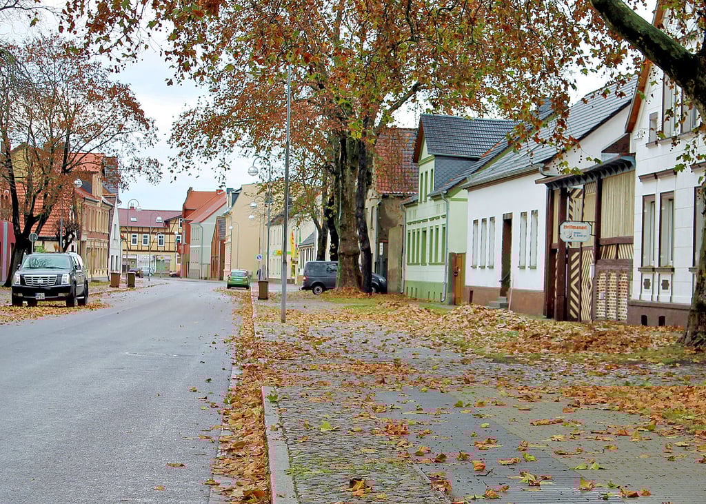 Laubfall im Herbst in Tangerhütte (Archivbild). Ab kommendem Herbst sollen auch in den Dörfern Sammelbehälter aufgestellt werden. Welche und wie viele soll aber noch diskutiert werden.