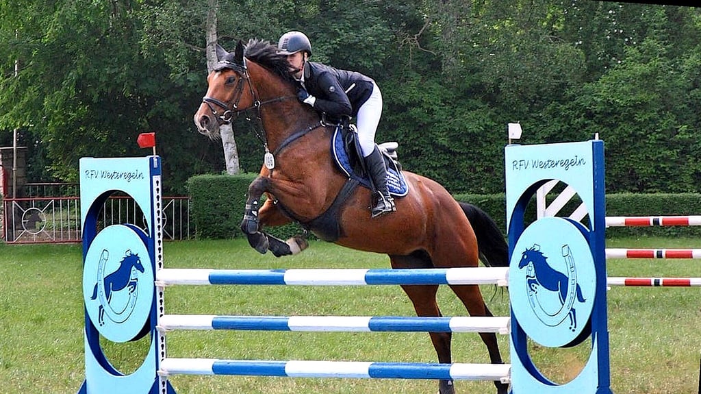 Die 70. Auflage des Pfingstturniers in Westeregeln für Pferdesportler lässt ein weiteres Jahr auf sich warten. Die Hoffnung des RFV Westeregeln liegt nun auf dem Fahrturnier im Juni.