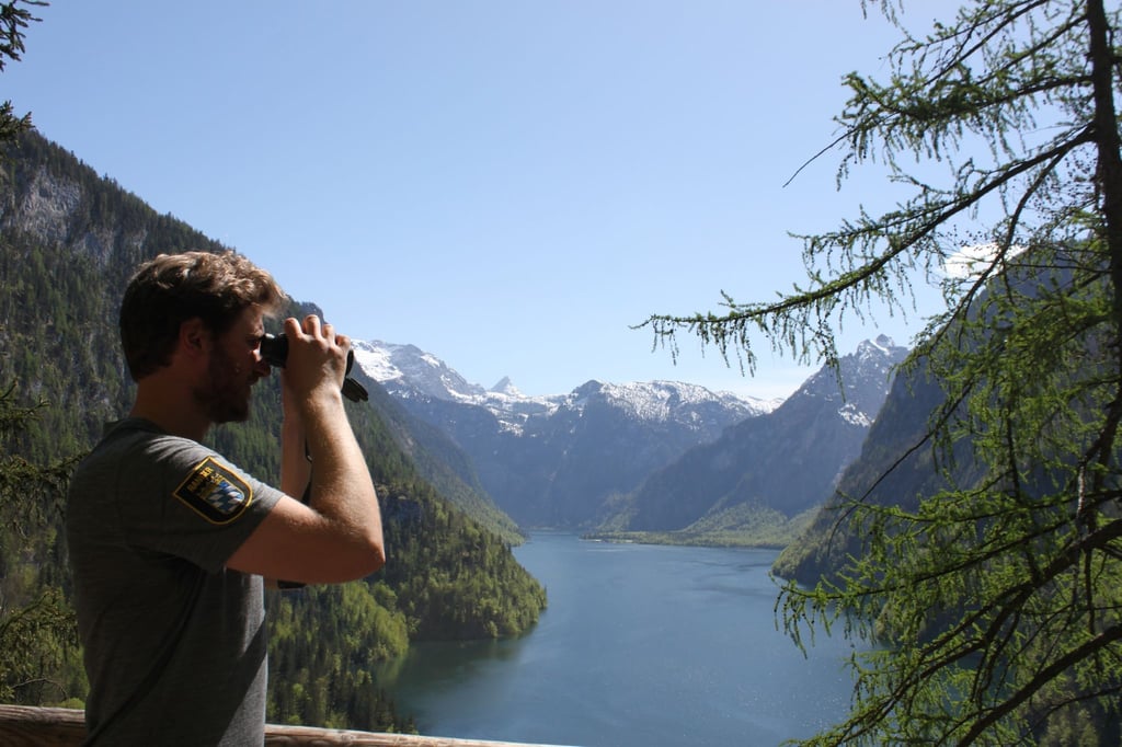 Blick über den Königssee im Nationalpark Berchtesgaden.