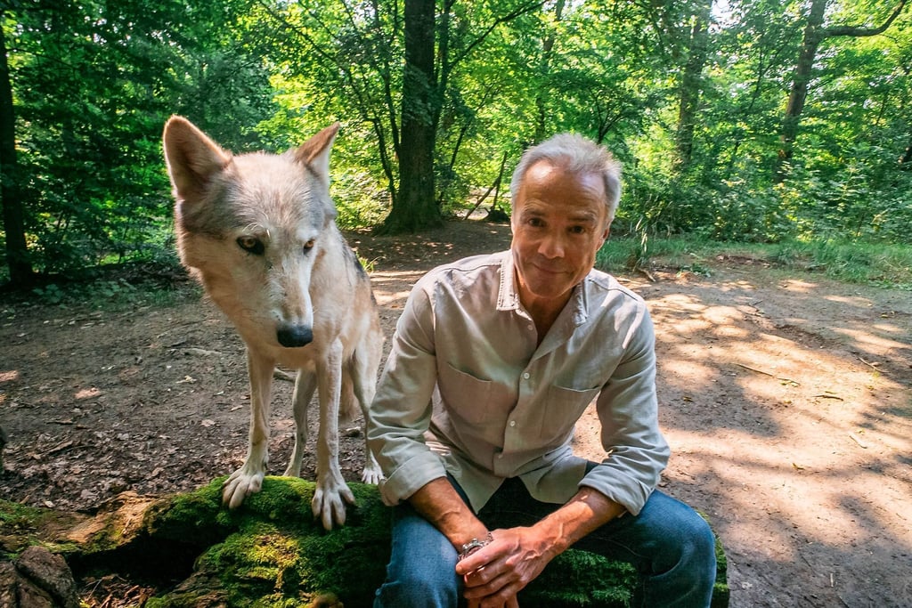 Hannes Jaenicke im Wolfforschungszentrum in Österreich