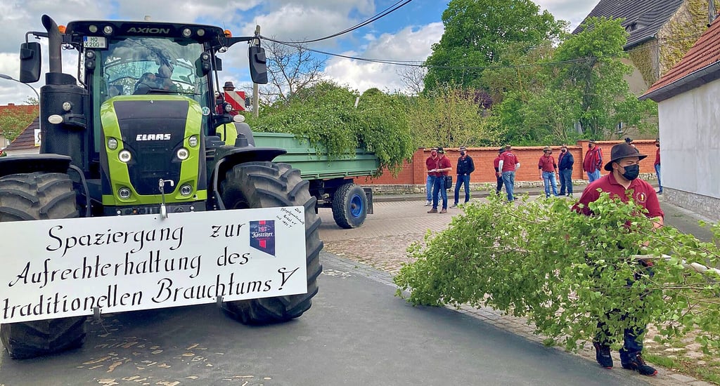 Hinter dem Traktor stehen die Mitglieder der Pfingstgesellschaft in Zweierreihen. Immer nur einer von ihnen darf eine Birke an ein Haus bringen.
