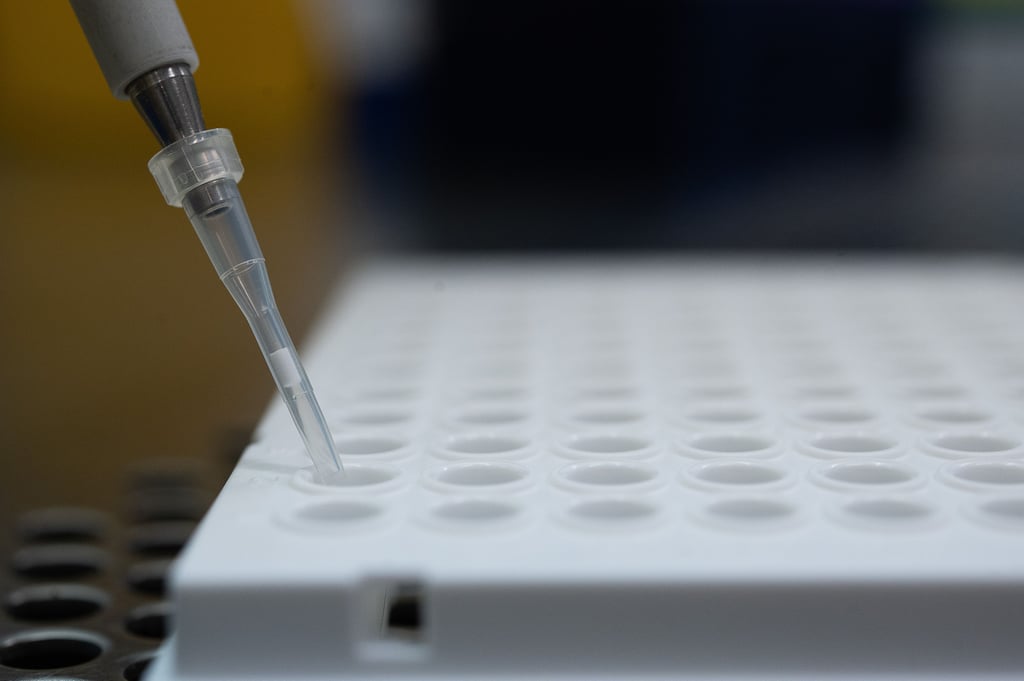 PCR-Test wird für die Analyse auf Mutationen des Coronavirus vorbereitet