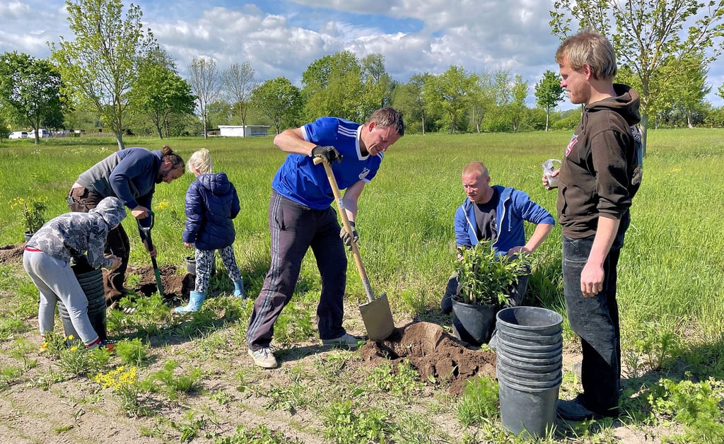 Gut ein Dutzend Helfer beteiligte sich an der Pflanzaktion auf dem zukünftigen Festgelände am Ortsrand von Loburg. Auf 250 Metern soll hier eine Naturhecke entstehen, die den künftigen Park- und Zeltbereich zum Teil umschließt.