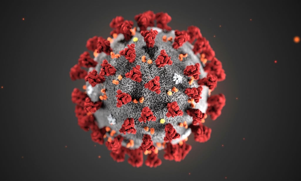 Diese von den Centers for Disease Control and Prevention (CDC) im Januar 2020 zur Verfügung gestellte Illustration zeigt das Coronavirus (2019-nCoV).