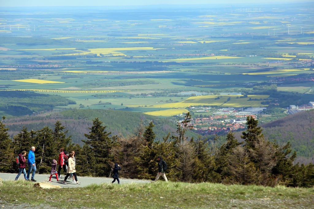 Ausflügler gehen über einen Weg auf dem Brocken.
