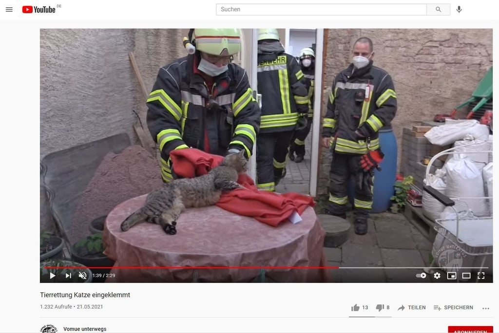 Eine Streunerkatze wird in Hecklingen von der Feuerwehr gerettet. Screenshot: Youtube/Volker Müller