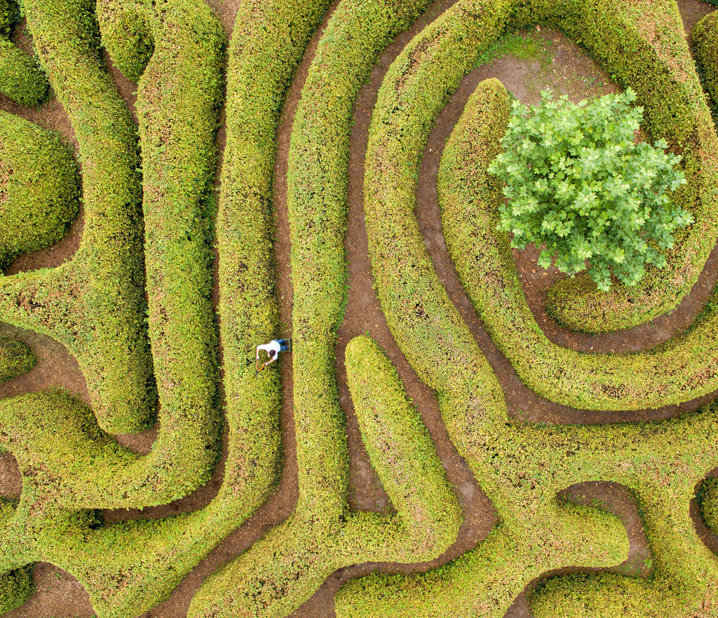 Wie kommt man hier raus? Irrgarten am Gartenreich-Schloss Mosigkau