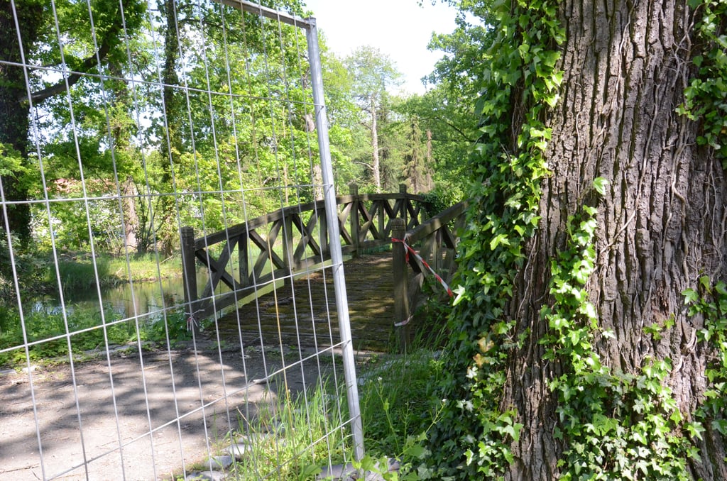 Der Teich rund um die Liebesinsel befindet sich im abgesperrten Bereich des Kurparks. Deshalb können Arbeiten zum Erhalt der Brücke, für die Spenden gesammelt worden sind, noch nicht beginnen. Wunsch von Einwohnern und Ortschaftsrat ist es, den komplett gesperrten Kurpark wieder in Teilen zu öffnen.
