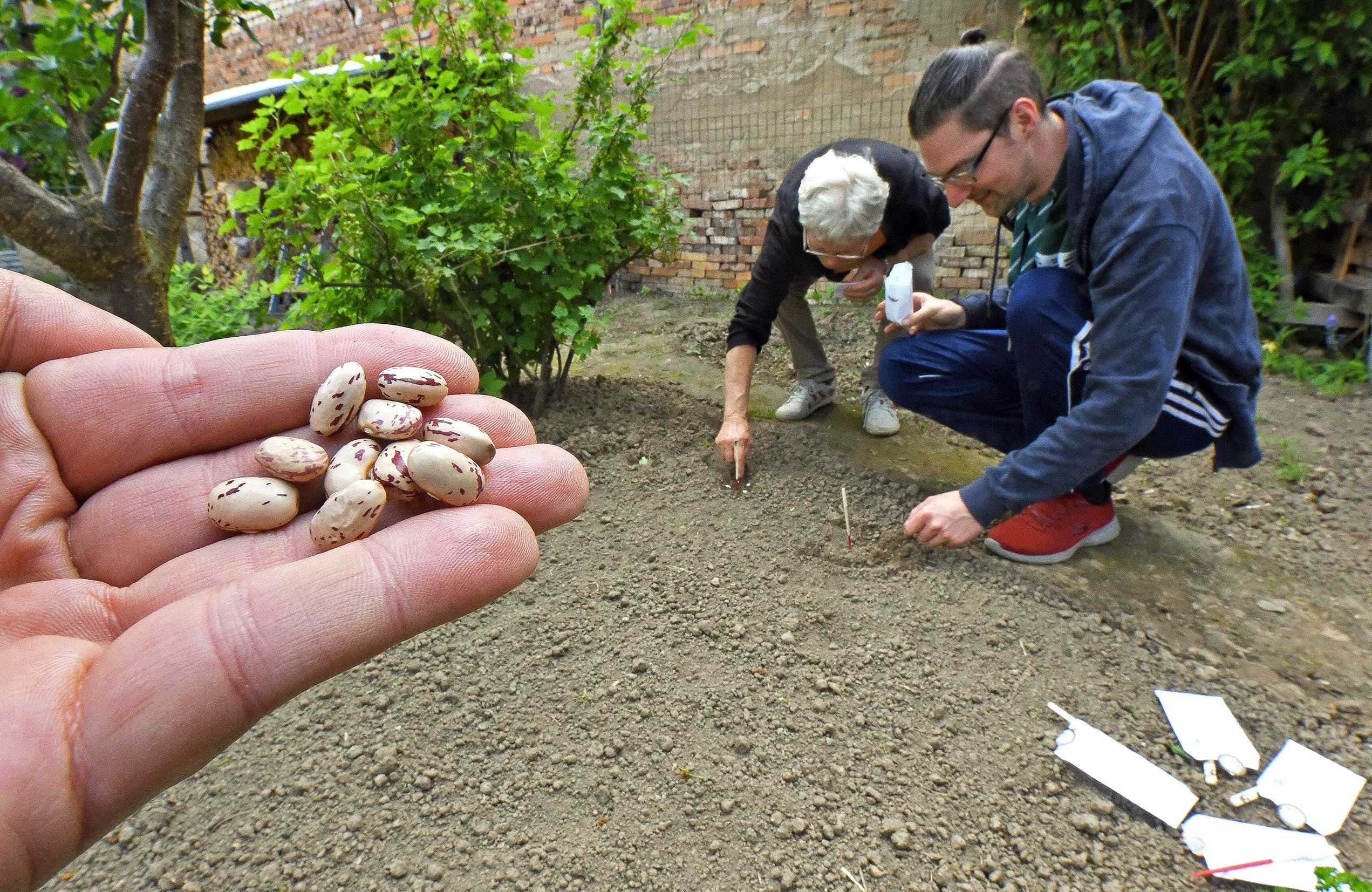 HobbyGärtner aus Ballenstedt unterstützen einzigartiges EUProjekt mit