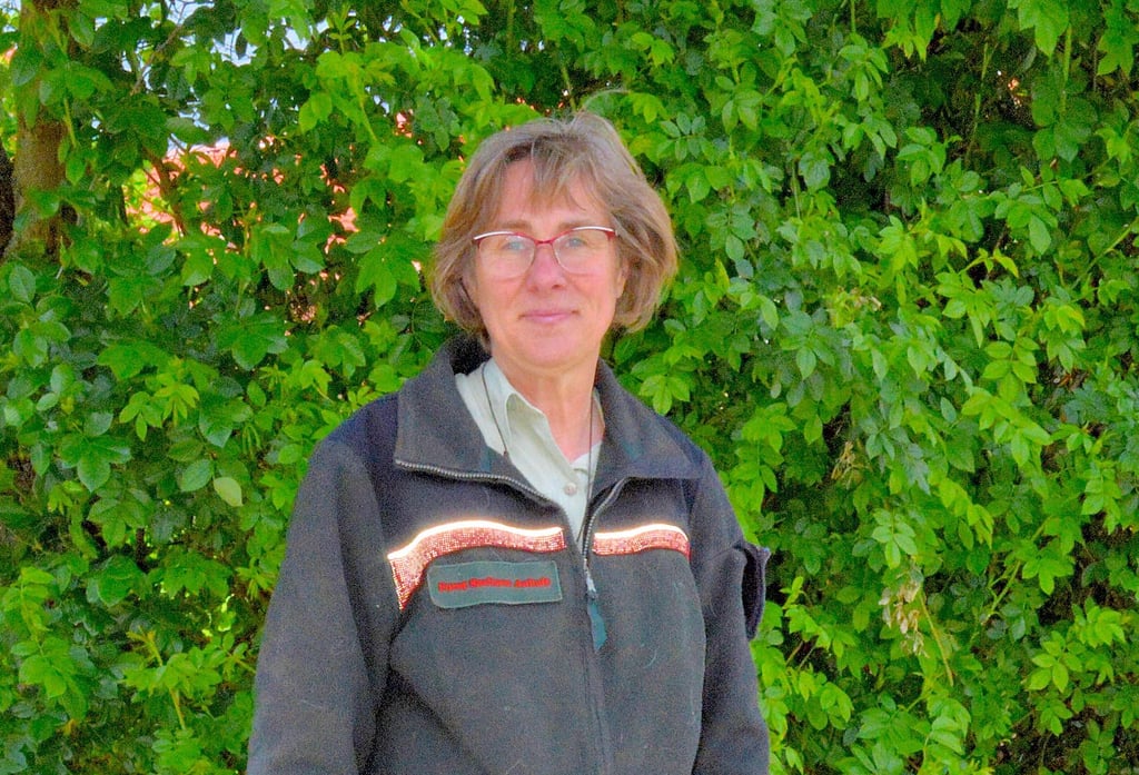 Försterin Simone Bruckert von der Revierförsterei Cröchern ist Ansprechpartnerin für die Waldbesitzer.