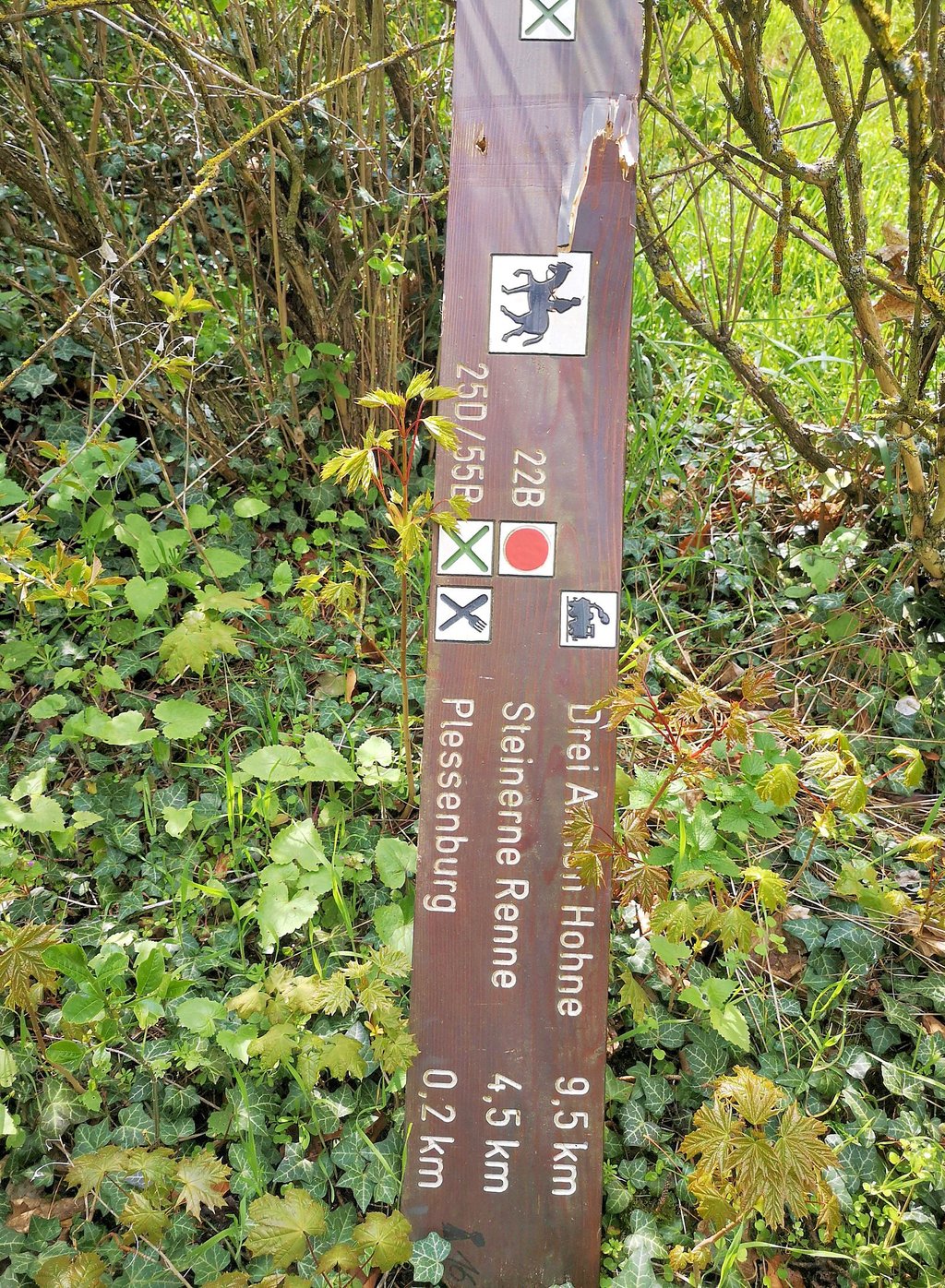 Diesen Wanderwegweiser, offensichtlich aus der Nähe der Plessenburg, hat ein Darlingeröder hinter einem Gebüsch nahe seines Grundstücks entdeckt.