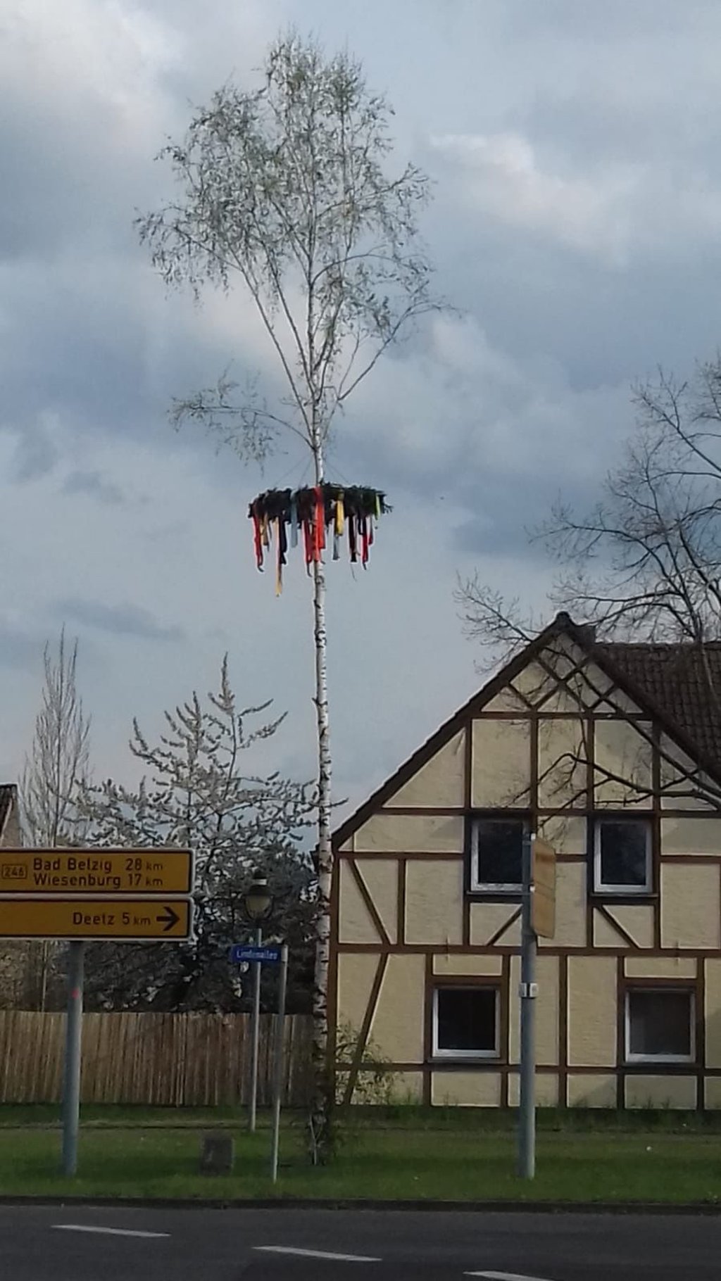 In Nedlitz stellte der Ortschaftsrat den Maibaum auf.