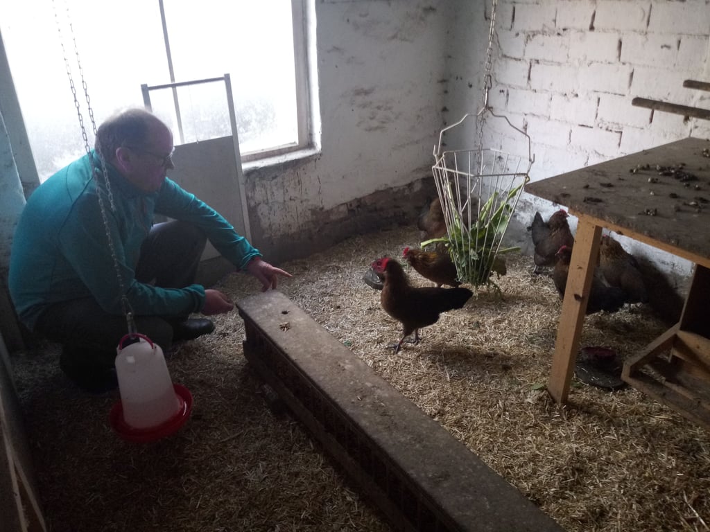 Ronald Diefert, der Vorsitzende des Kleintierzuchtvereins Seehausen, kann sei Lieblinge wieder nach draußen lassen.