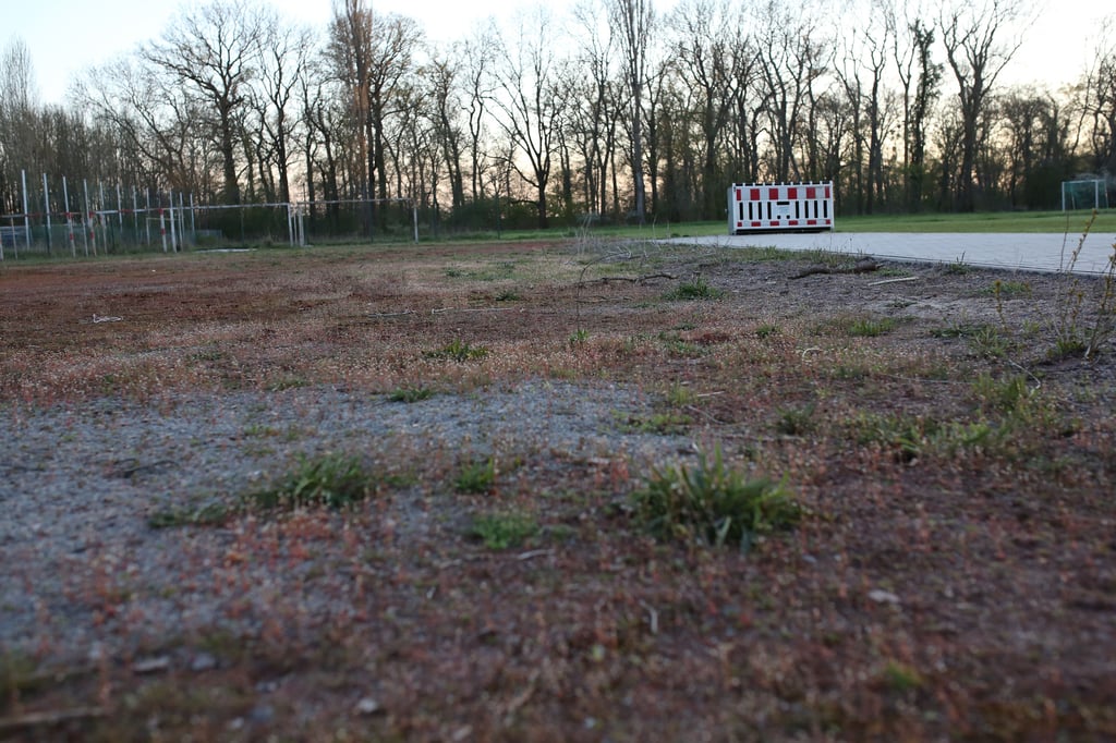 Am Sportplatz Ranies könnten neue Baugrundstücke entstehen