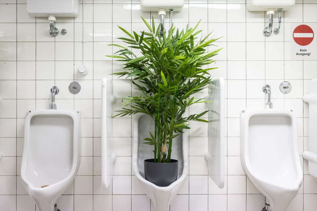 Eine künstliche Bambuspflanze dient als Abstandshalter in einem Pissoir in der Herrentoilette
