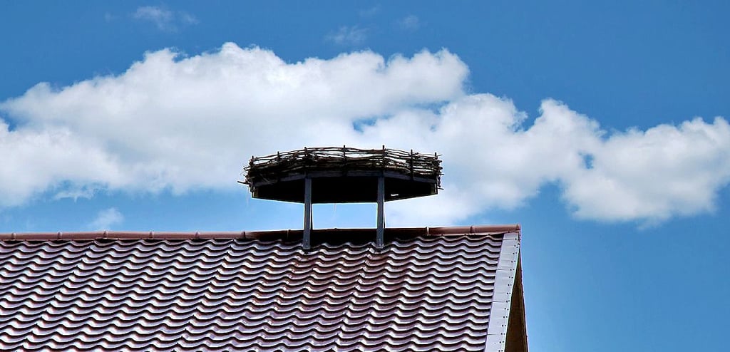 Das Storchennest auf einer der Hallen des Heide-Hofs.