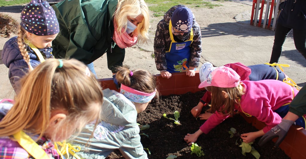 In das neue Hochbeet setzten die Kita-Kinder die jungen Gemüsepflanzen.