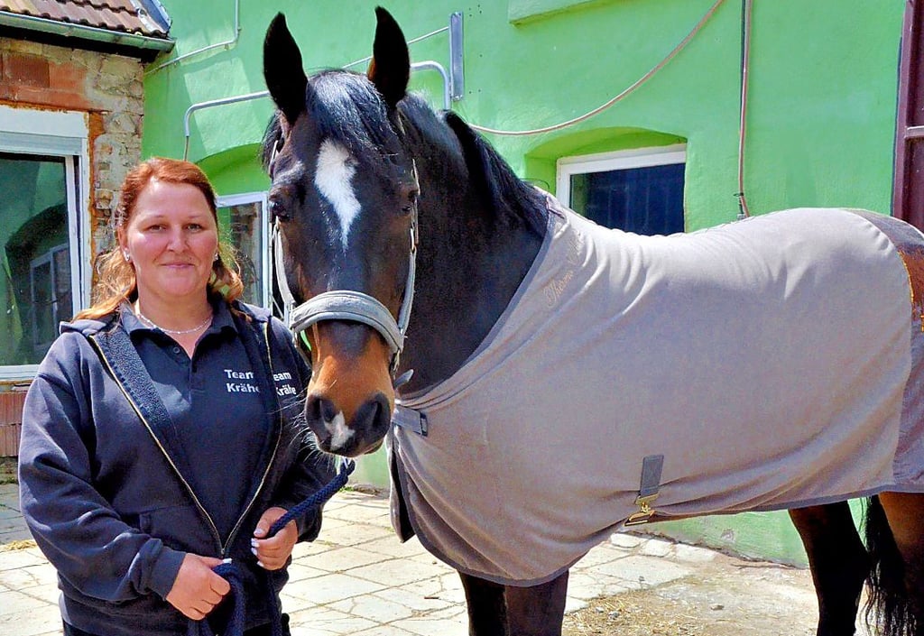 Ihr Pferd „Bravo“ hat Nicole Krähe darauf gebracht, die Reinigung von Pferdedecken als Dienstleistung anzubieten.