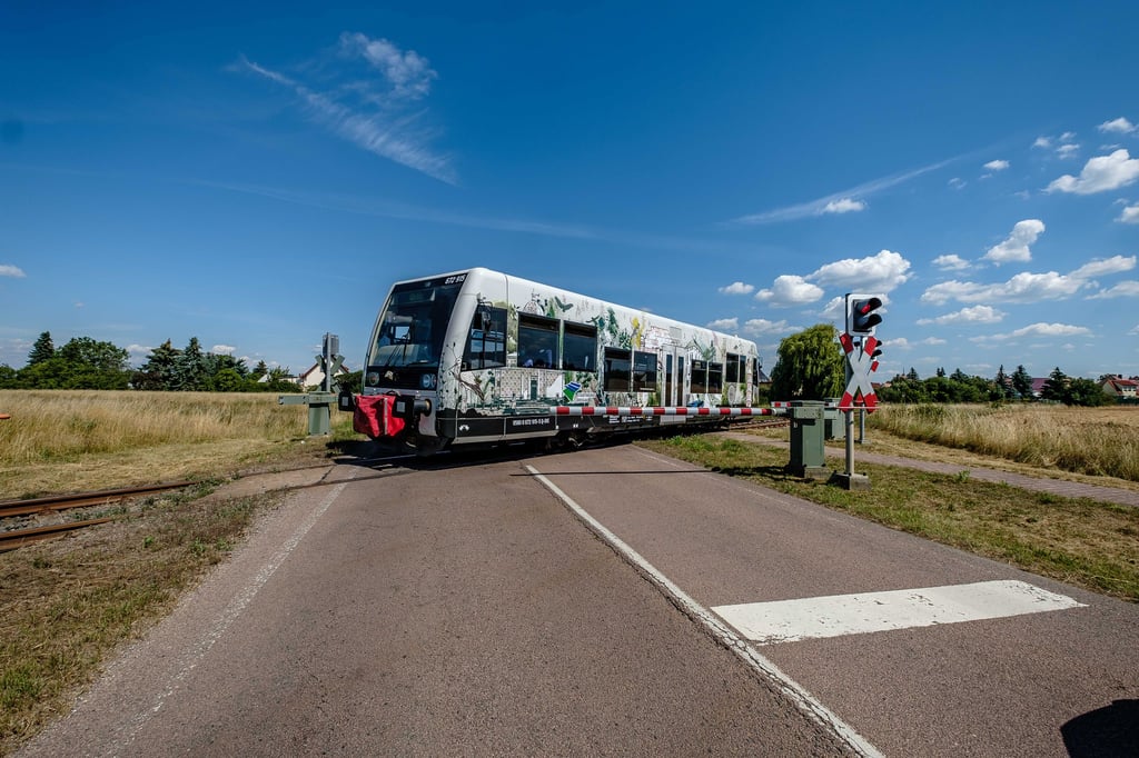 Die Dessau-Wörlitzer Eisenbahn