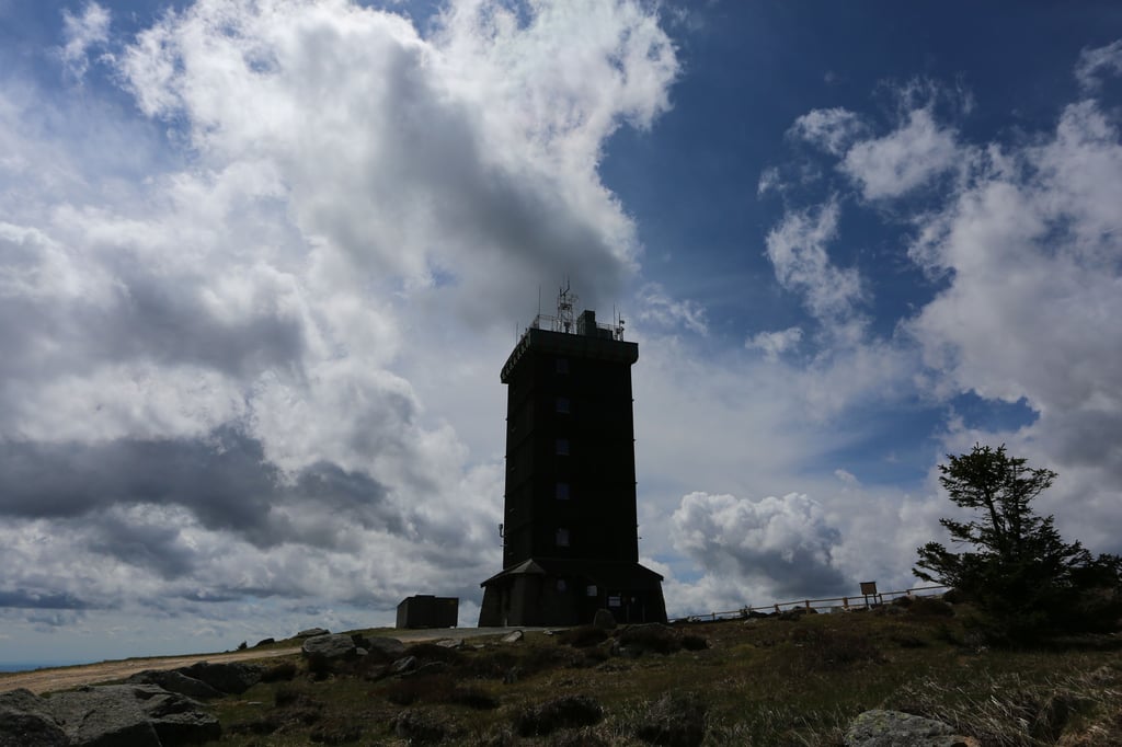 Der Harz war im Mai die trockenste Region Deutschlands.
