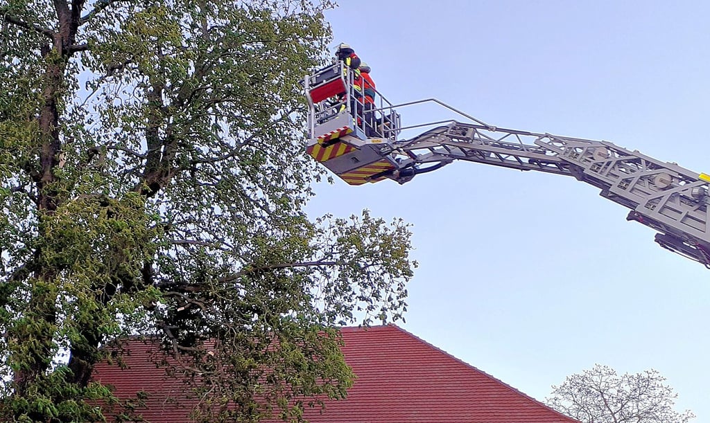Mit einem Aufgebot an Technik und der nötigen Ruhe näherten sich die Kameraden der Tangermünder Feuerwehr dem abgebrochenen dicken Ast.