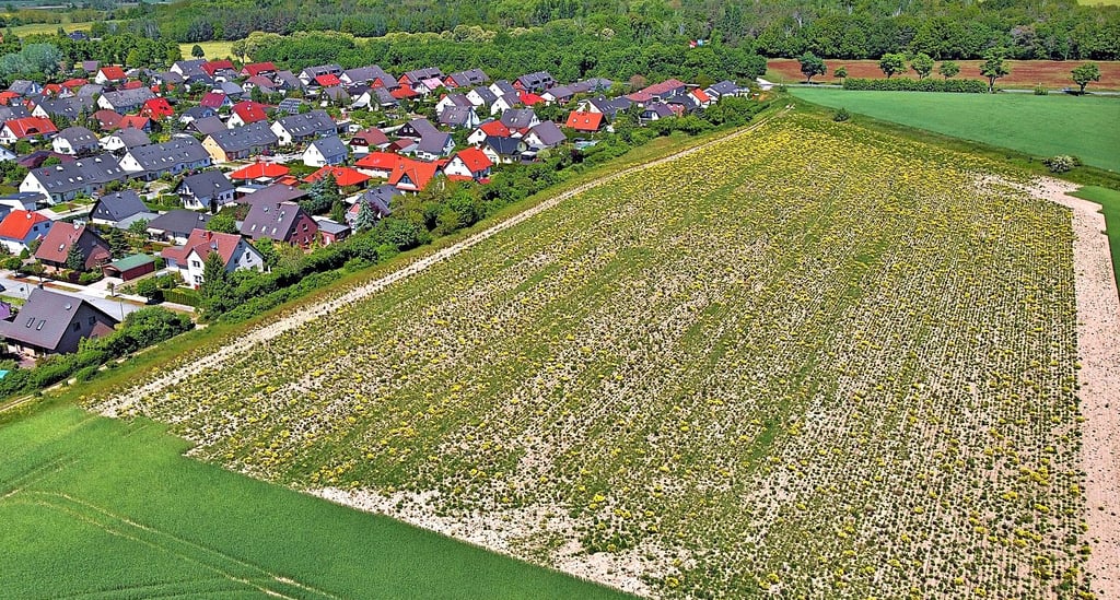 Das Uenglinger Baugebiet, auch ?Legoland? genannt, soll um 26 Einfamilienhäuser erweitert werden. Noch tut sich aber nichts auf der Fläche.