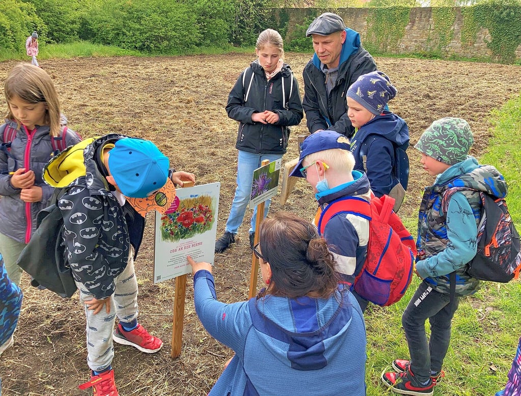 Bitte riechen, staunen, lauschen und weitersagen: Die Mädchen und Jungen vom Hort 1 in Ballenstedt schauen, was man auf einer Insektenwiese machen darf.