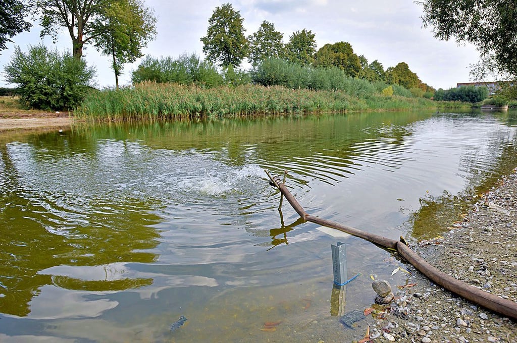 Per Feuerwehrschlauch wurde im trockenen Sommer 2019 Wasser von einem Hydranten in den Teich gepumpt.