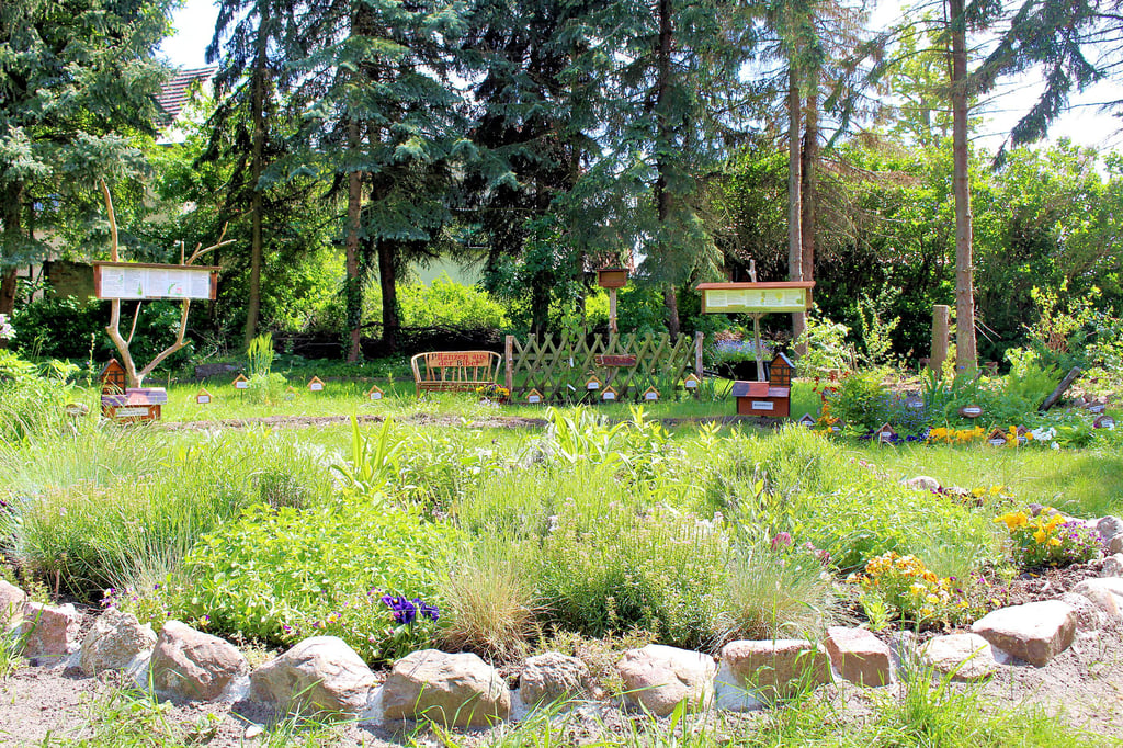 Im Bibelgarten von Niederlepte wächst und gedeiht es.