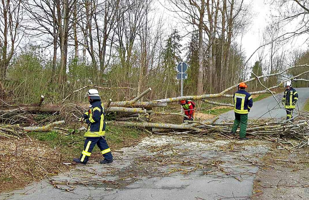 Die Freiwillige Feuerwehr Elbingerode beräumte vom Sturm gefällte Bäume am Schützenring.