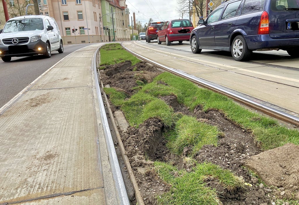 Die Spuren der Fahrzeuge, die über den Rasengleisbereich in der Warschauer Straße in Fahrtrichtung Magdeburg-Buckau gelenkt wurden, sind deutlich sichtbar.