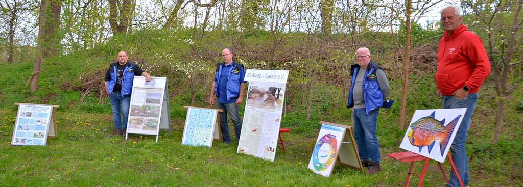 Heimo Reilein, Gerald Pomme und Ekard Reinhardt von der IG ?Bodelachs? starten gemeinsam mit dem Gröninger Campingplatzbetreiber Hans-Peter Lemgau das Proejket Grünes KLassenzimmer direkt an der Bode.