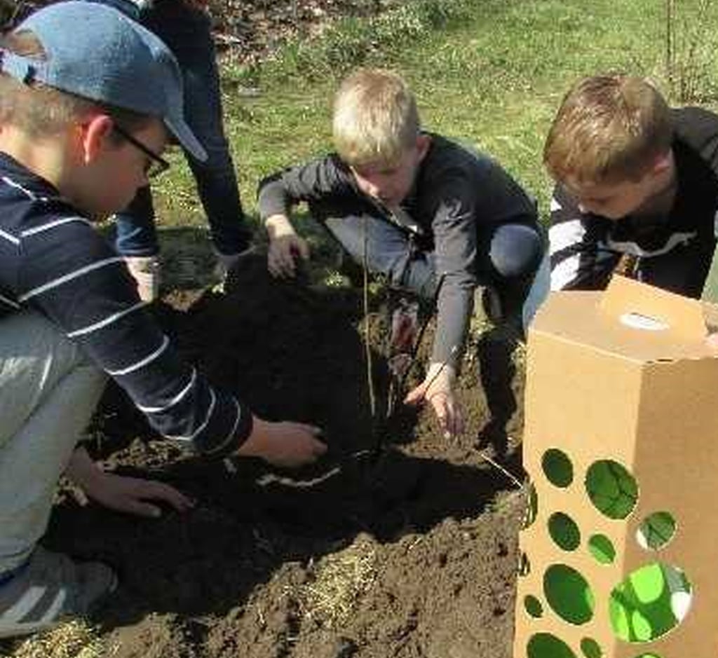 Im DRK-Hort Diesterweg in Genthin haben Kinder und Erzieher/Erzieherinnen einen Apfelbaum eingepflanzt.