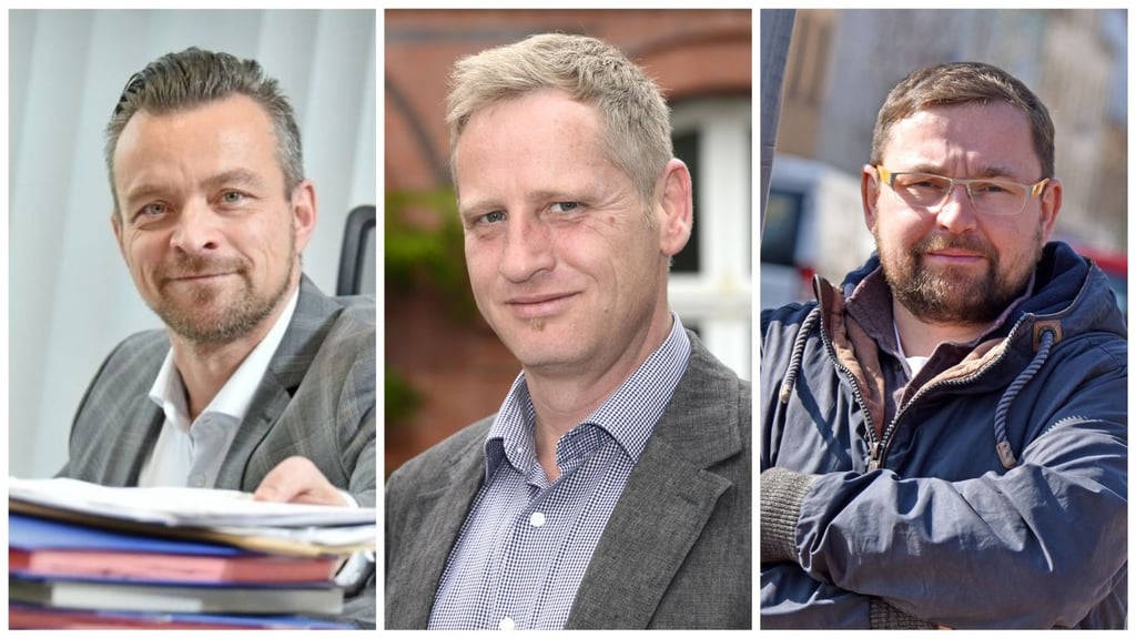 Wer wird neuer Landrat von Anhalt-Bitterfeld?