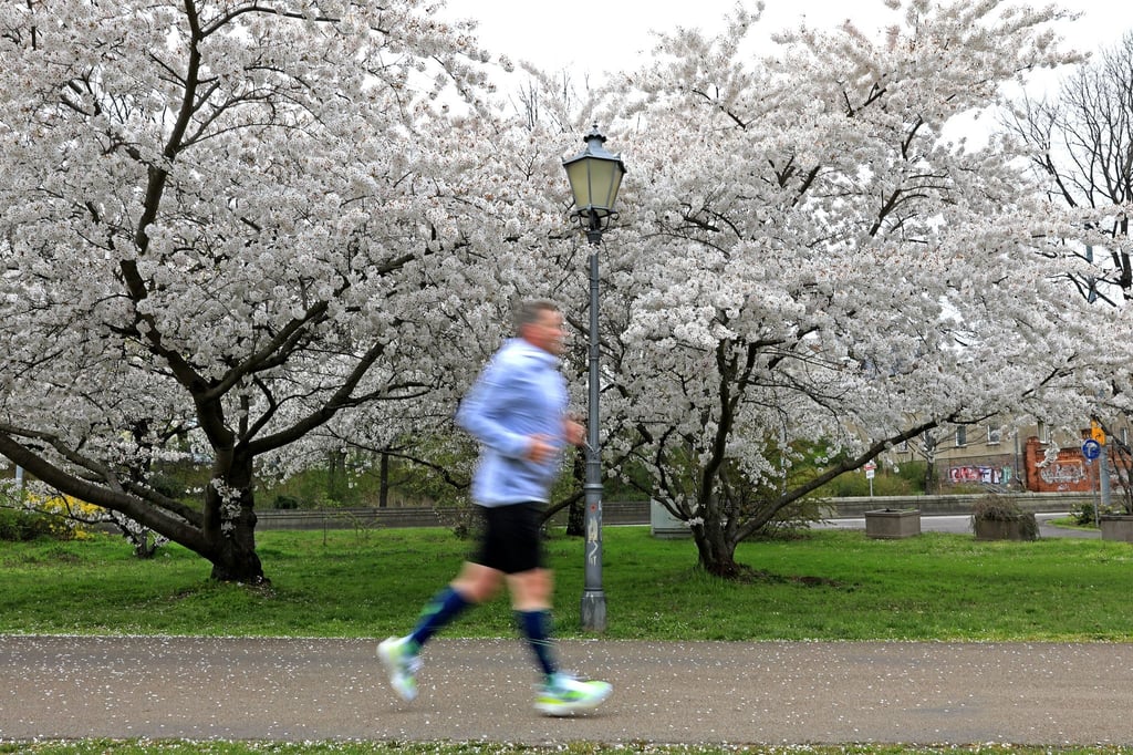Viele Einsteiger überfordern ihren Körper auf den ersten Joggingrunden.
