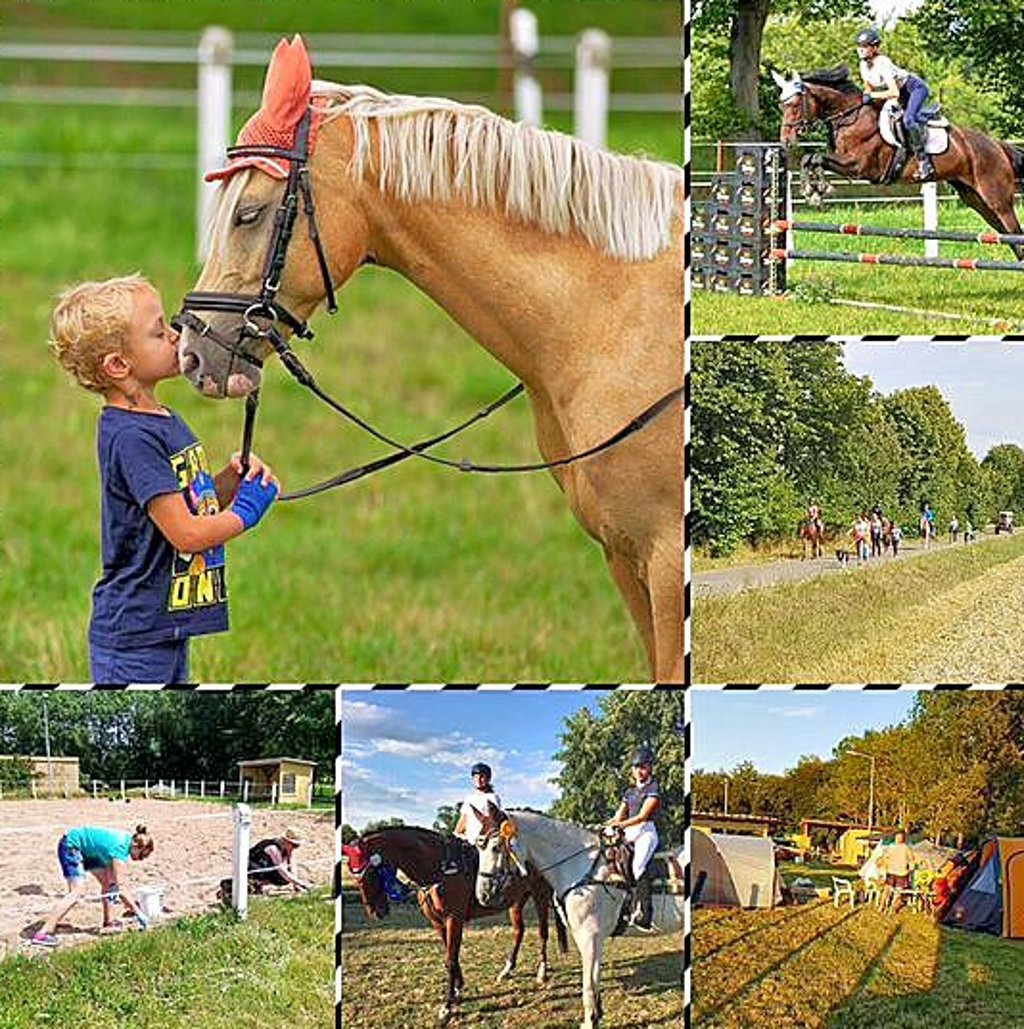 Impressionen aus dem Vereinsleben des RFV Zäckwar.