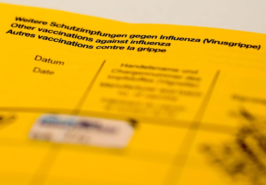 Ein Impfbuch mit den Feldern für die Impfung gegen Influenza (Virusgrippe).