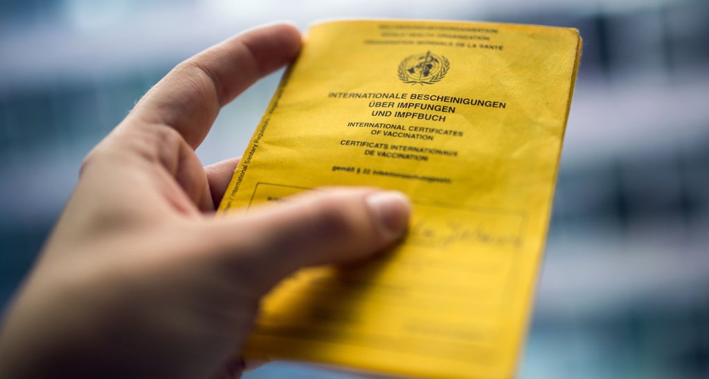 Ein Mann (29) aus Burg soll einen gefälschten Impfausweis besessen haben. Die Polizei ermittelt.