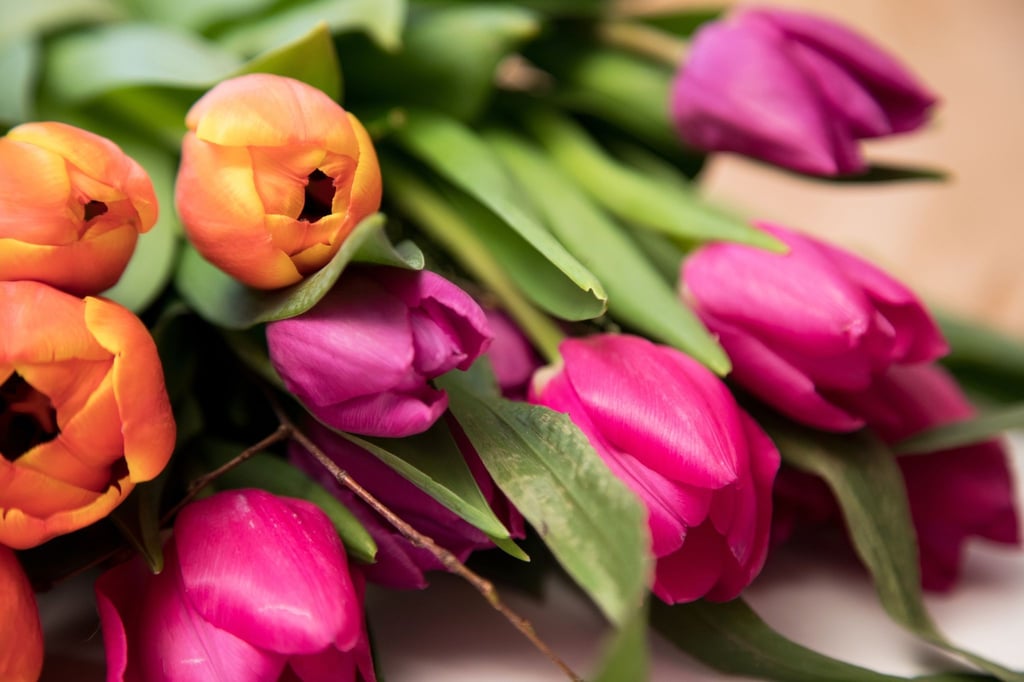 Für die Vase: Die Blumenstängel sollte man schräg anschneiden und den Strauß dann schnell in lauwarmes Wasser stellen.