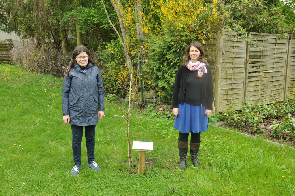 Annemarie Kock (links) besichtet den Apfelbaum der im Garten der Musik- und Kunstschule der Leiterin Maike Schymalla im Zeichen der Inklusion gepflanzt wurde.