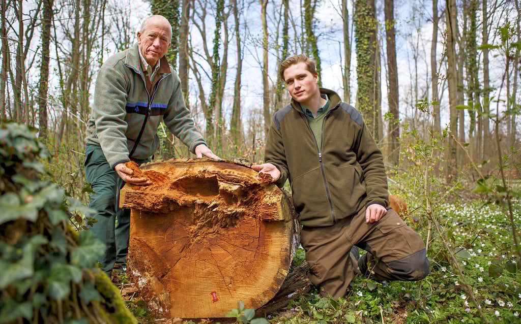 Alexander und sein Sohn Constantin von Feilitzsch im Droyßiger Forst. Beiden liegt die Pflege und Sicherung ihres Waldes am Herzen. Kranke Bäume müssen entfernt werden und Gefahren beseitigt werden. Diese ca. 150-jährige Eiche starb von innen heraus und musste gefällt werden.