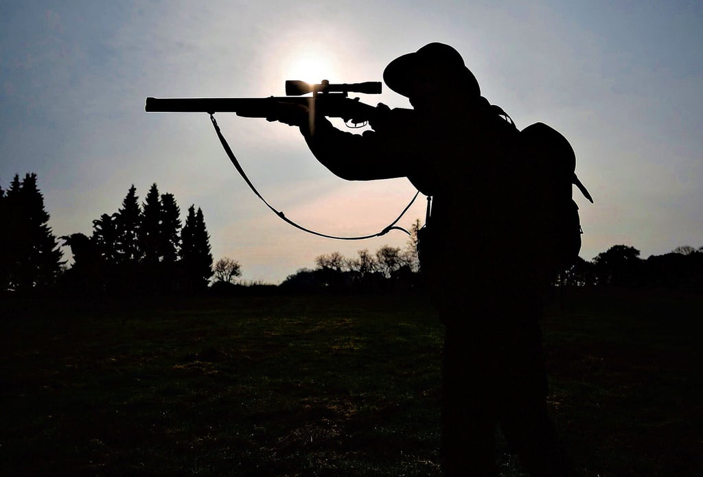 Eine Jägerin steht mit ihrer Bockbüchsflinte auf einer Wiese.